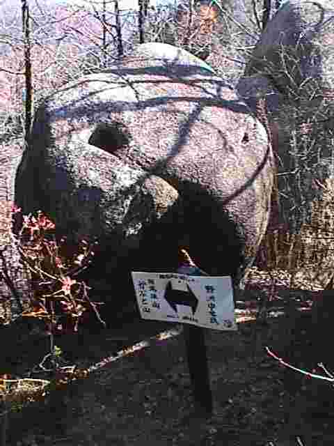 hatahuriyama3t-isi.jpg 21KB 480x640
