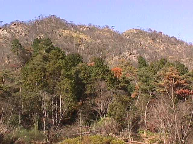 tanakayama1y.jpg 46KB 640x480