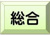 総合